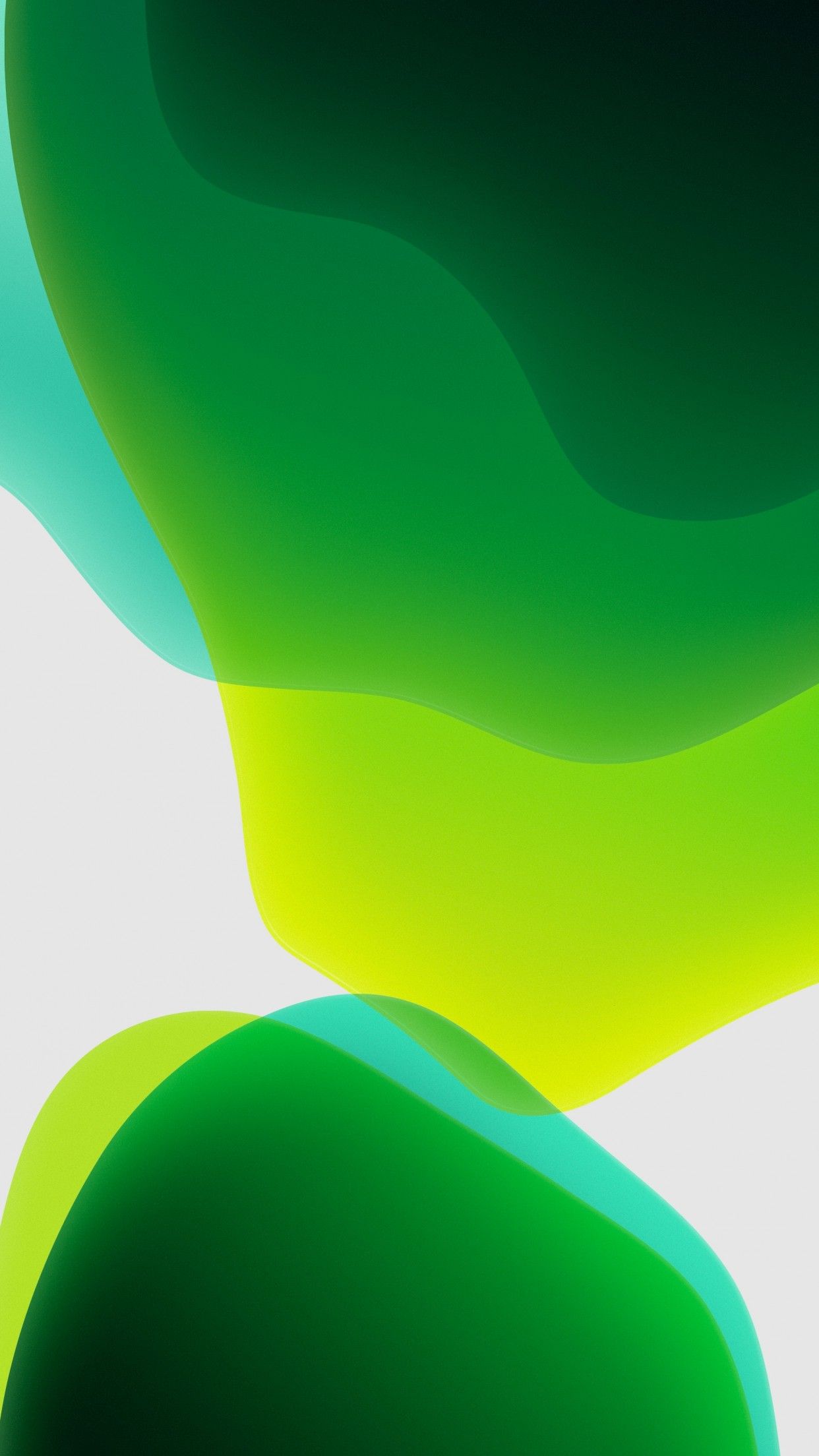 iPadOS 4K Wallpaper, Stock, Green, White background, iPad, iOS HD, Abstract