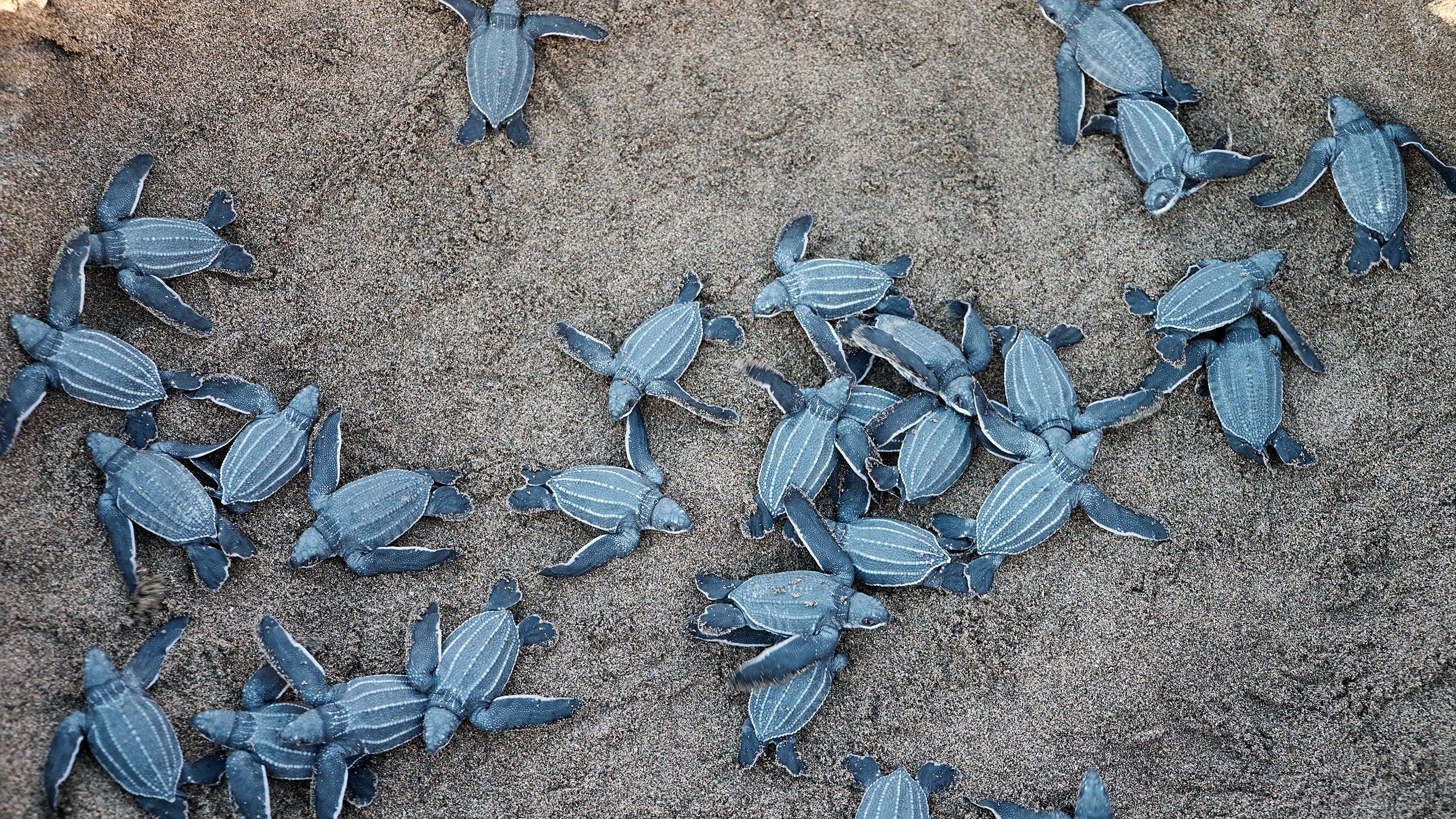 Group 4K wallpaper for your desktop or mobile screen free and easy to download