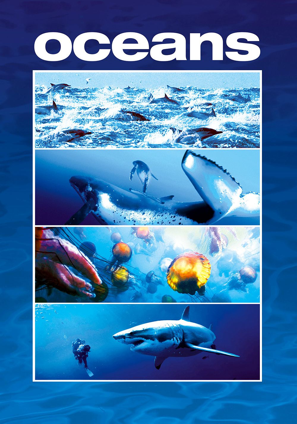 Best Image Ocean Of Movies Tamil Tamil Movie Release Date, Trailers, Photo. Find