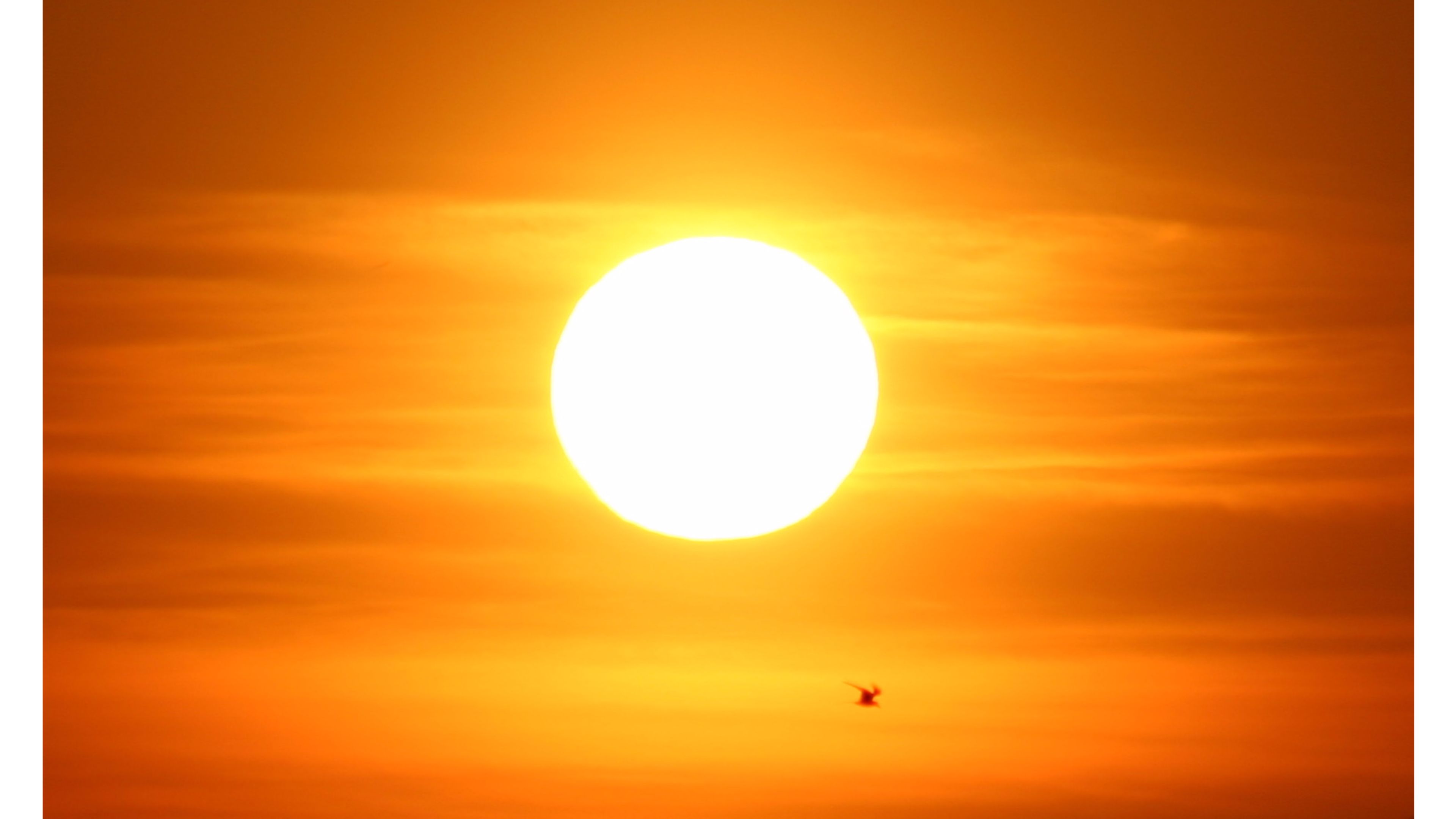 Sun 4K Wallpaper