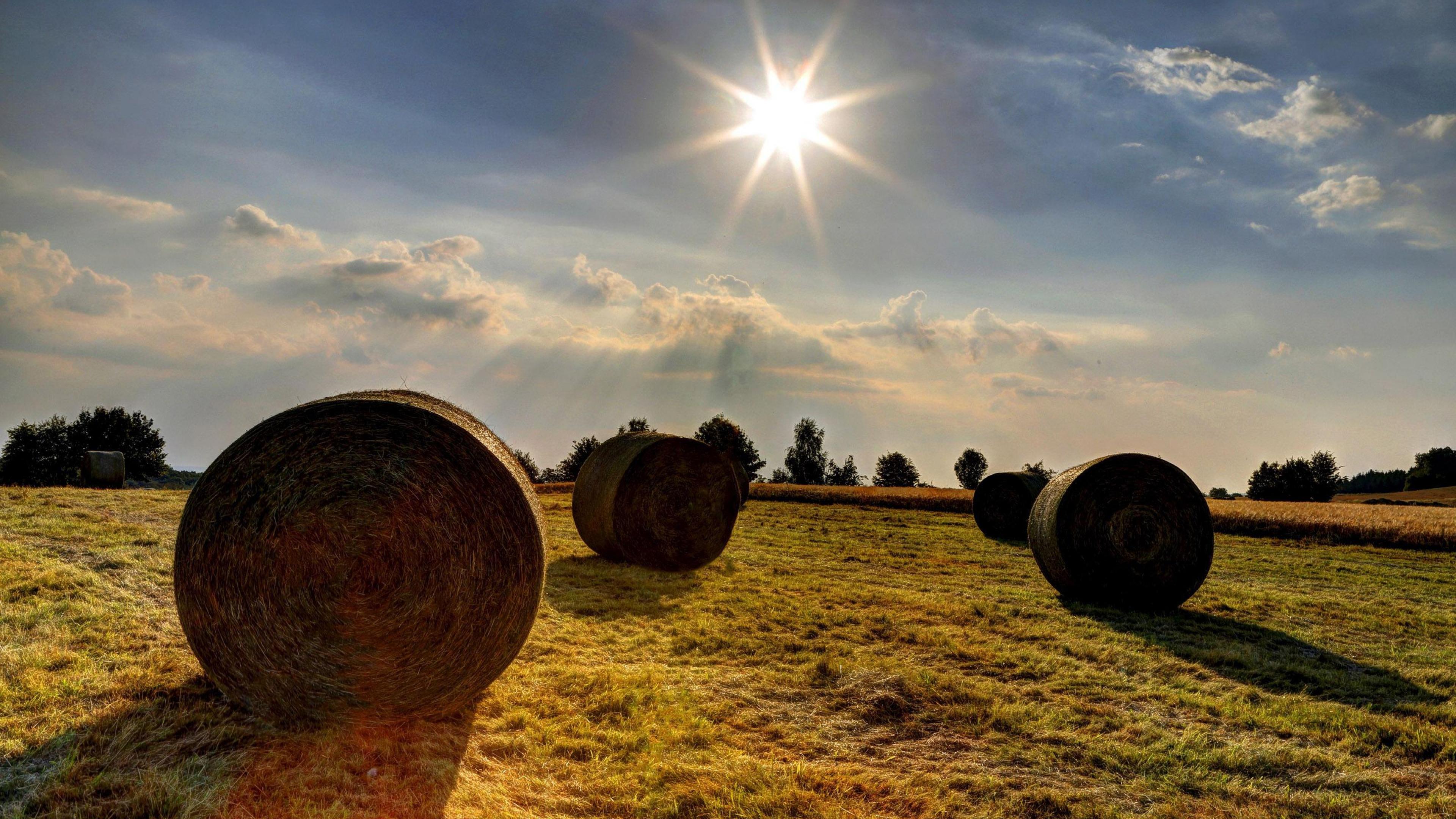 Sun And Clouds Wallpaper