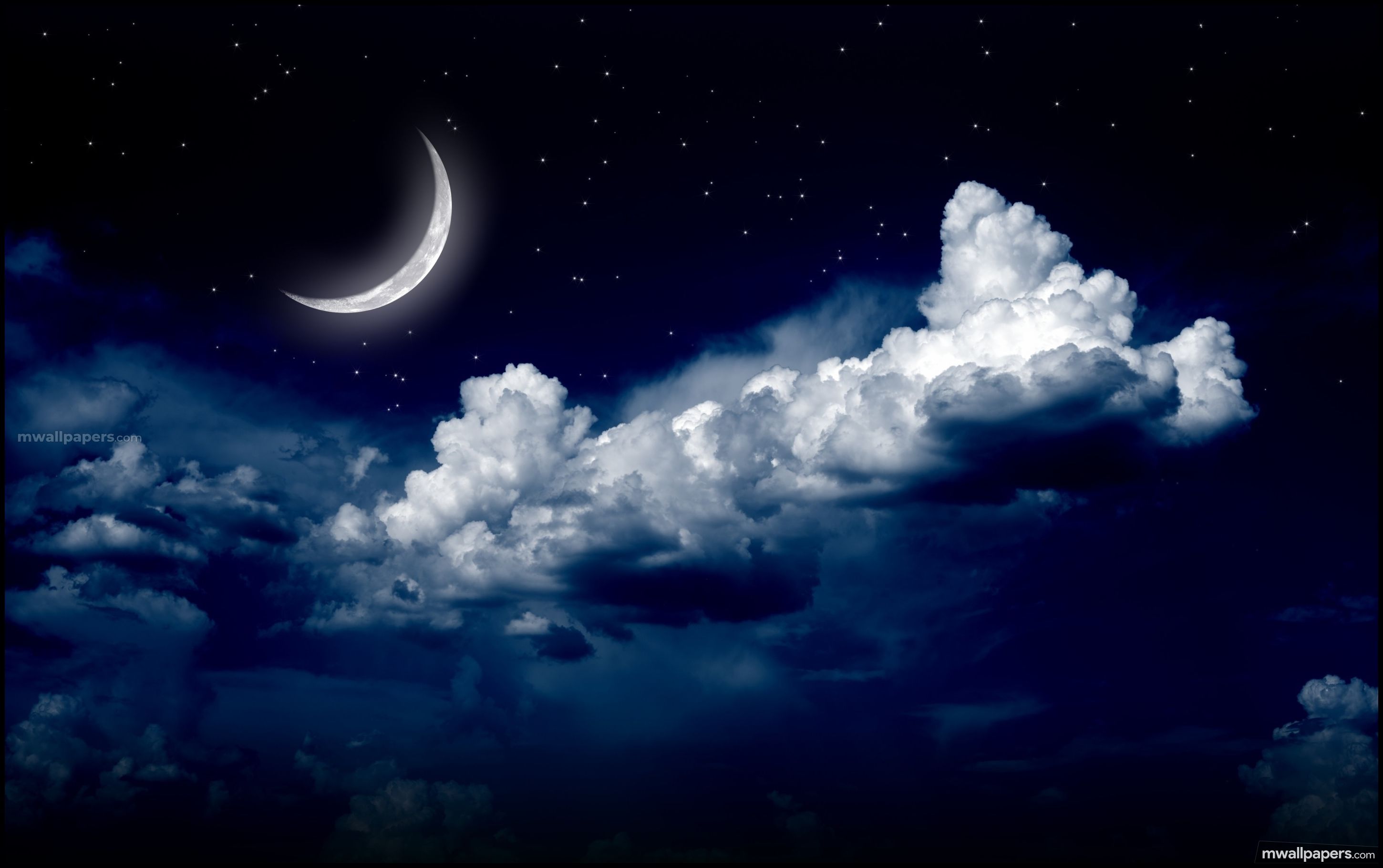 Moonlight Night Wallpaper 1920x1080
