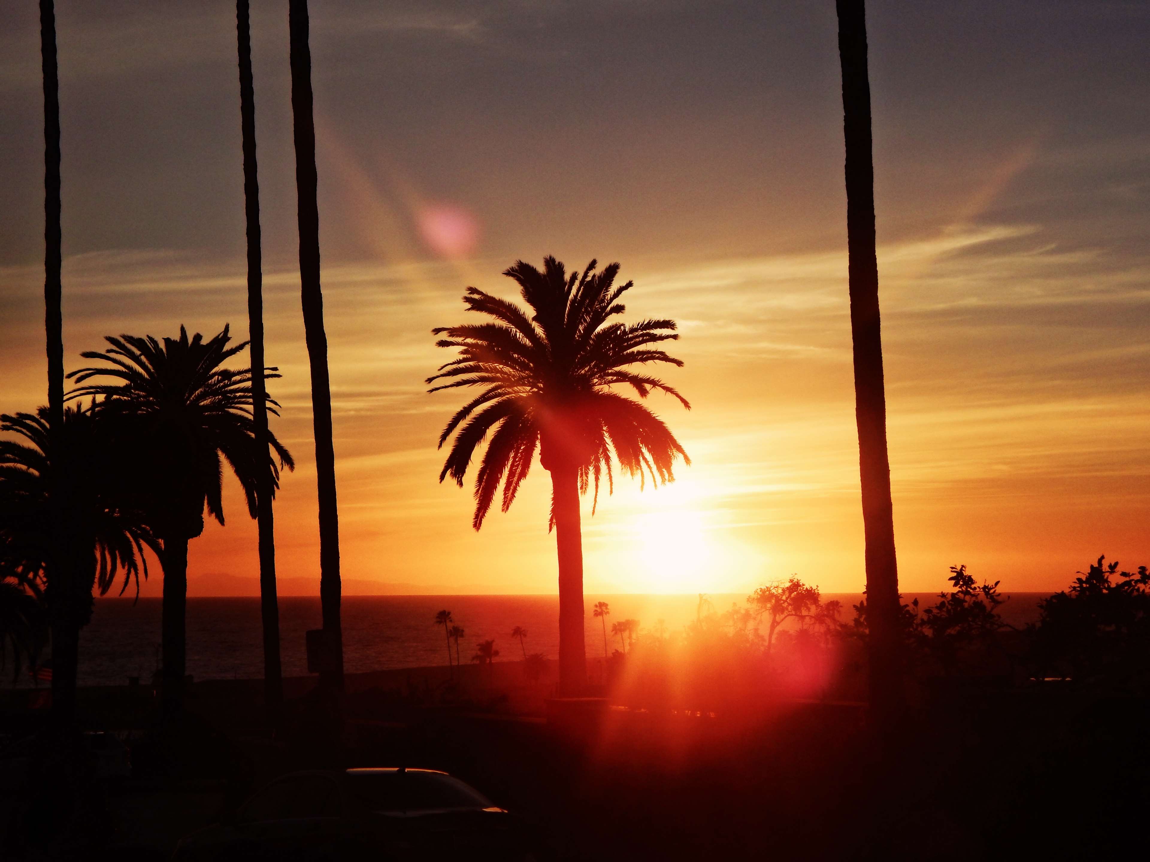 585508 california, los angeles, palms, sun, sunset 4k wallpapers.