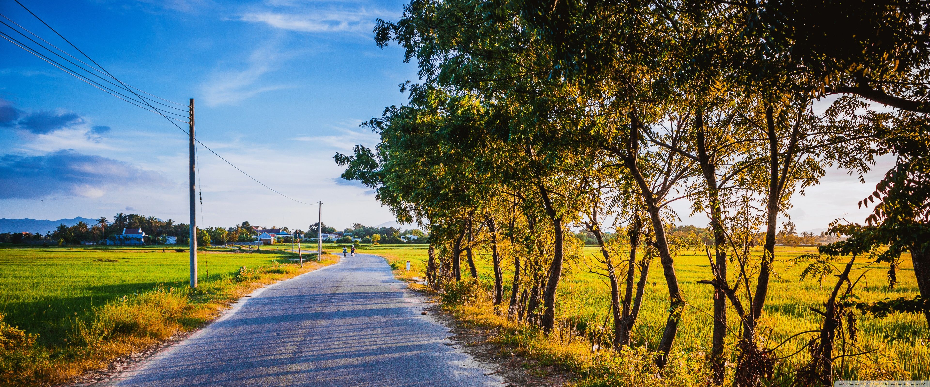 Summer Road Ultra HD Desktop Background Wallpaper for 4K UHD TV, Widescreen & UltraWide Desktop & Laptop, Tablet