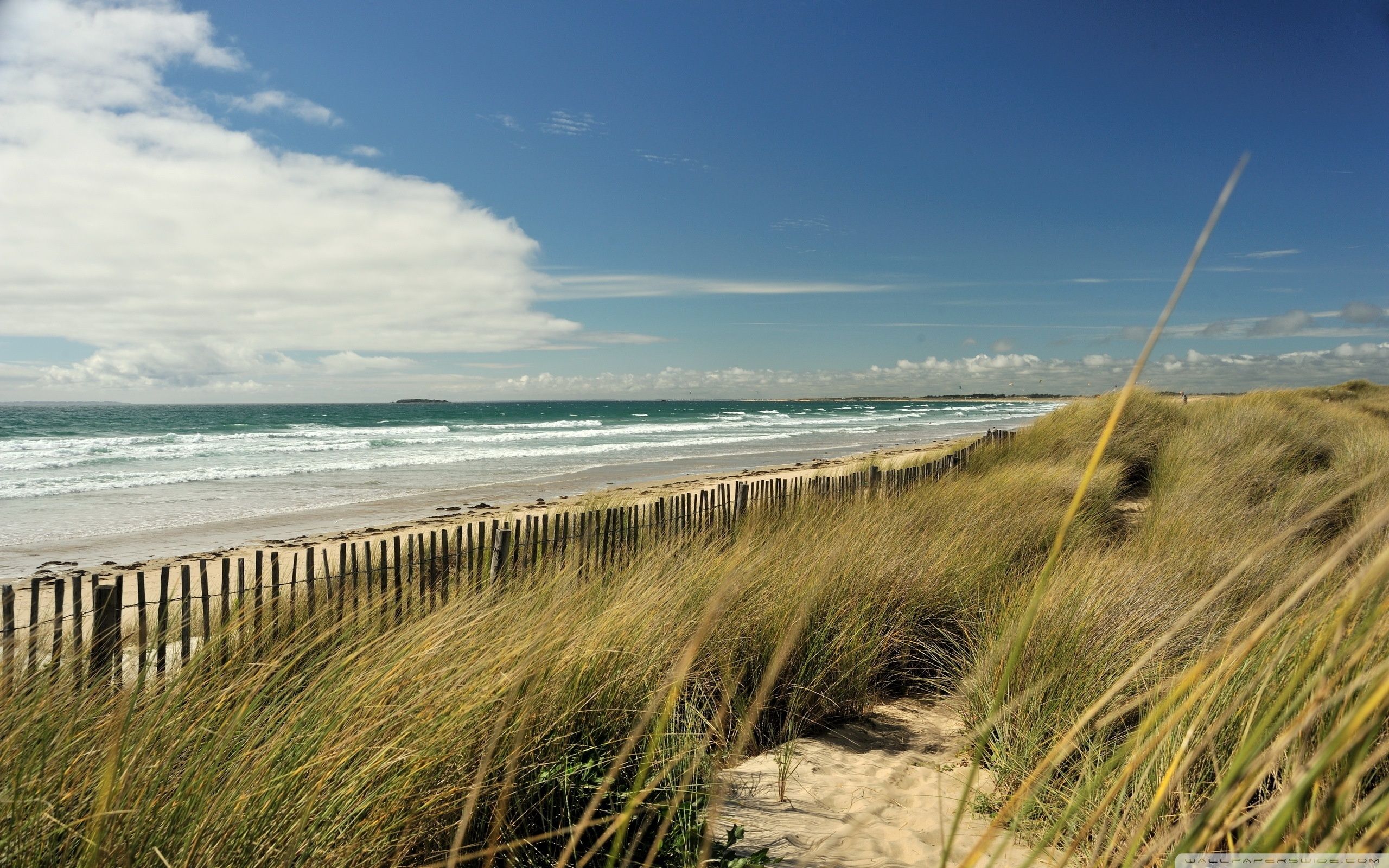 Long Beach Wallpaper