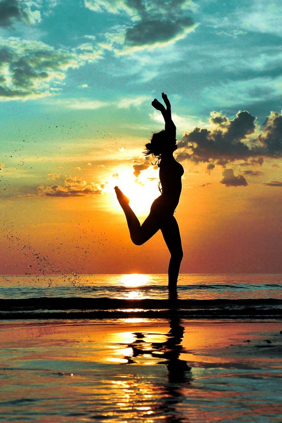 Desvre. Sunset, Dog silhouette, Silhouette