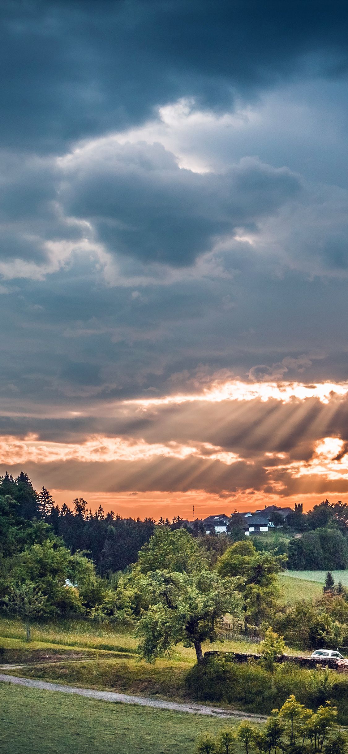 iPhone wallpaper. forest sunset summer mountain nature peace