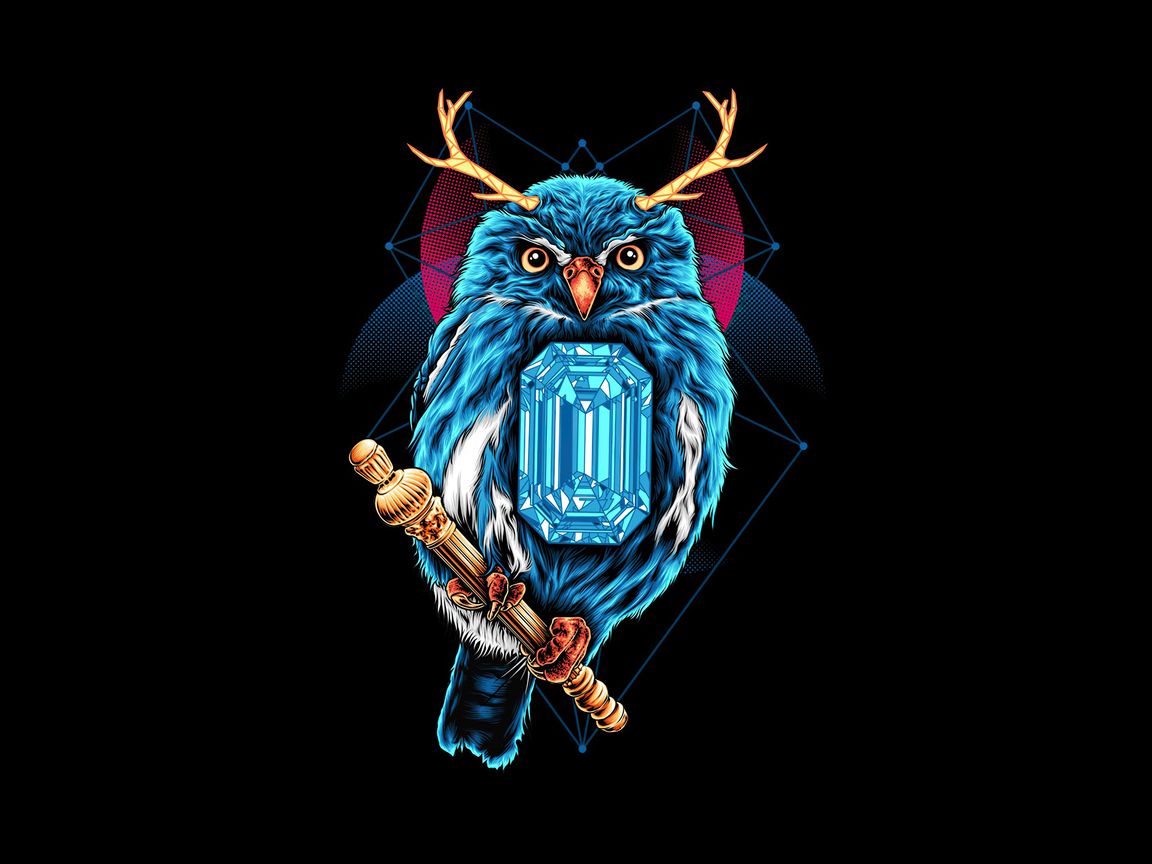 Owl Dark Black 4k Wallpaper, 1152x864 Resolution HD 4k Wallpaper Image, Background, Photos and Picture