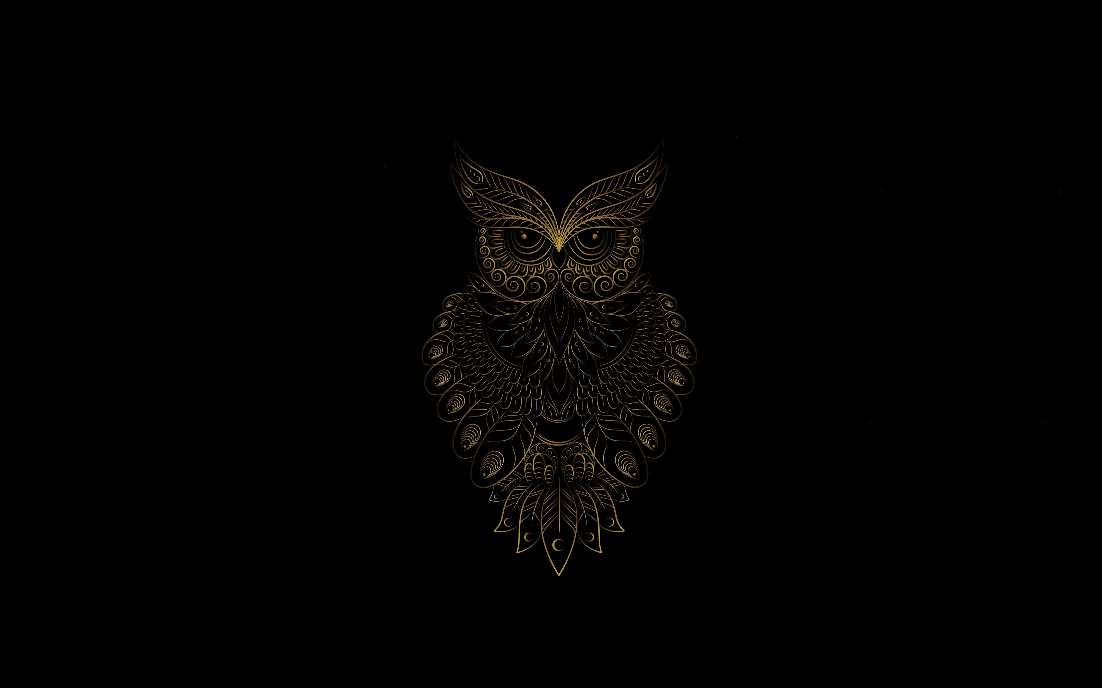 Download 3840x2400 wallpaper golden owl bird, pattern, art, 4k, ultra HD 16: widescreen, 3840x2400 HD image, background, 24659