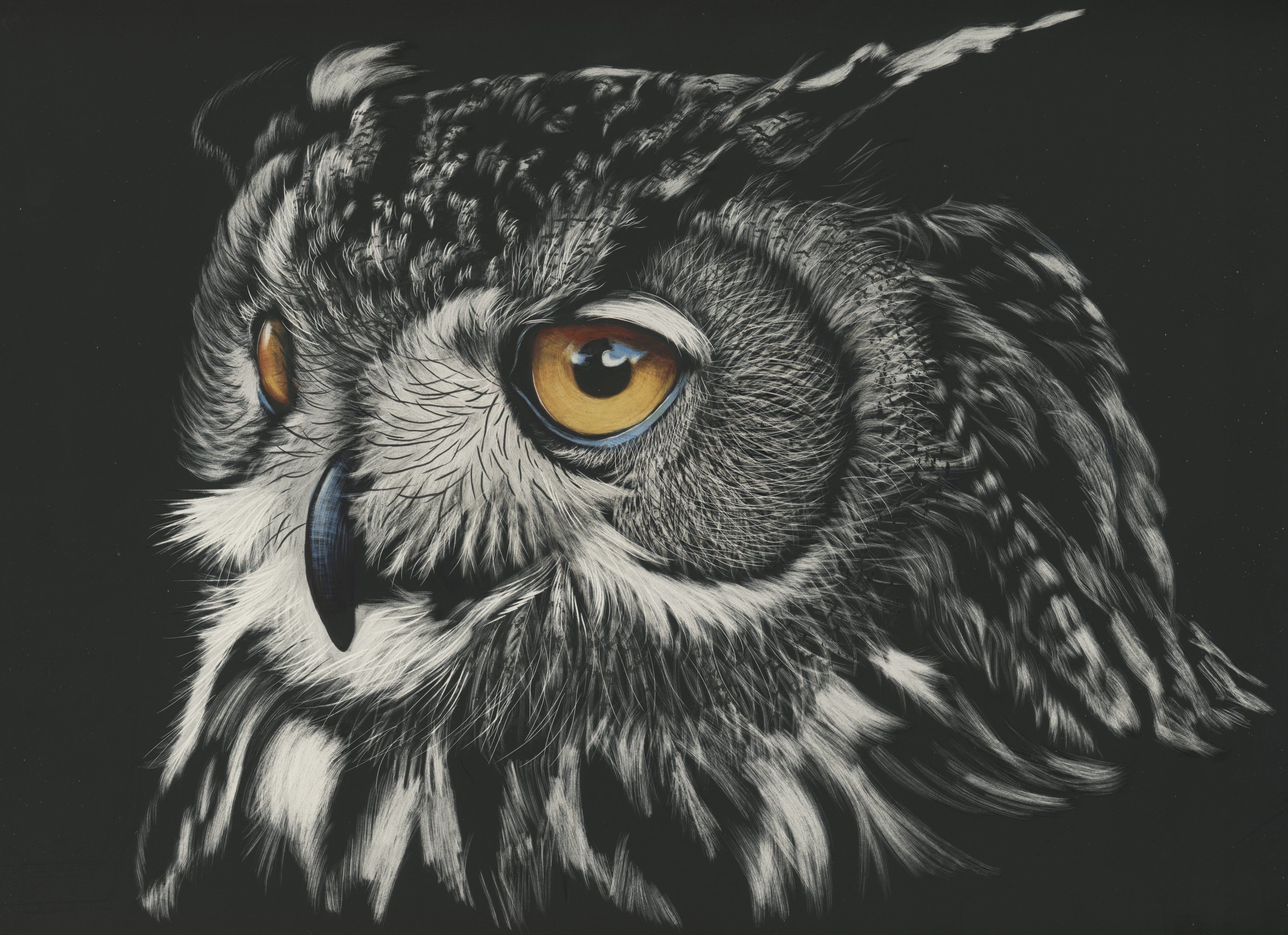 Owl Wallpaper