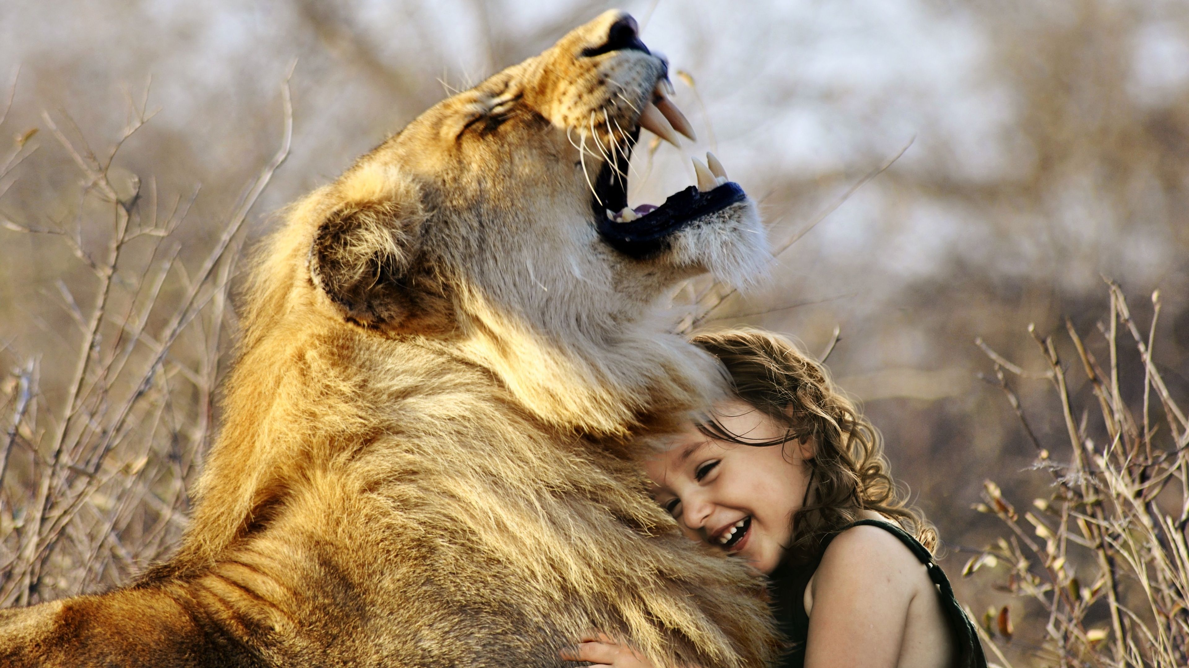 Little Girl Hugs Lion Roaring Cute 4k 4k HD 4k Wallpaper, Image, Background, Photo and Picture