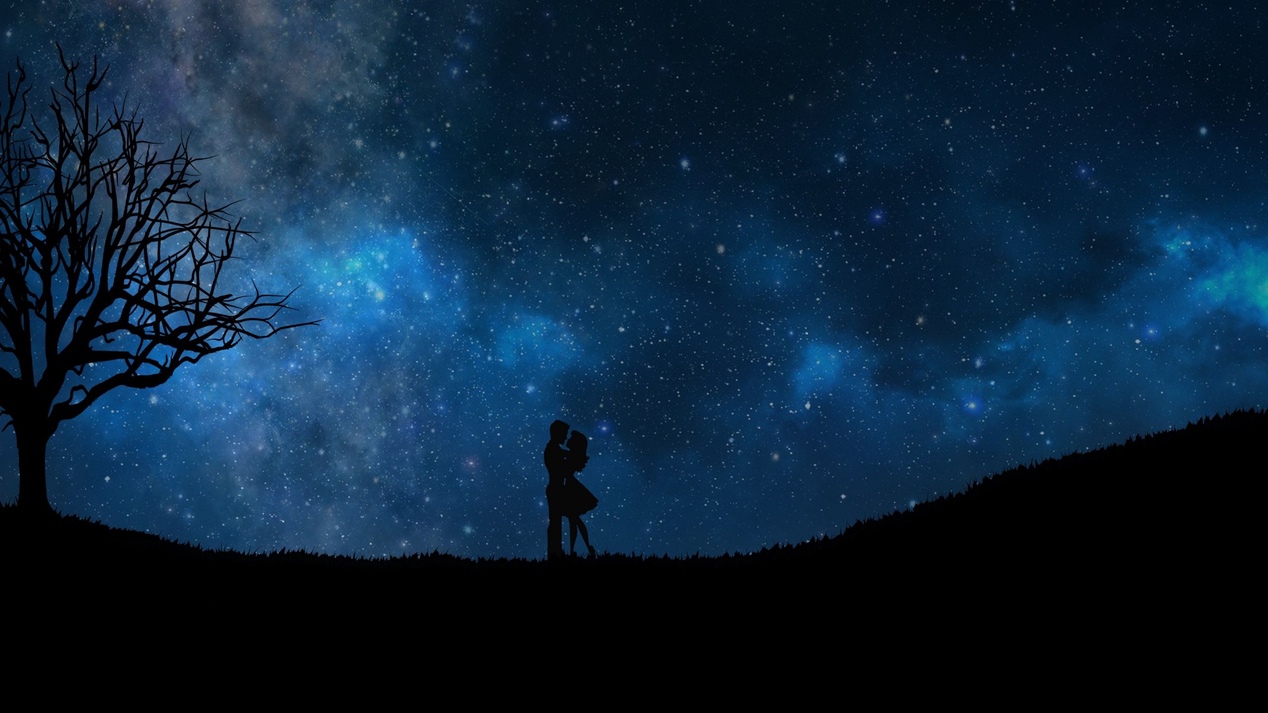 starry sky, couple, love desktop PC and Mac wallpaper