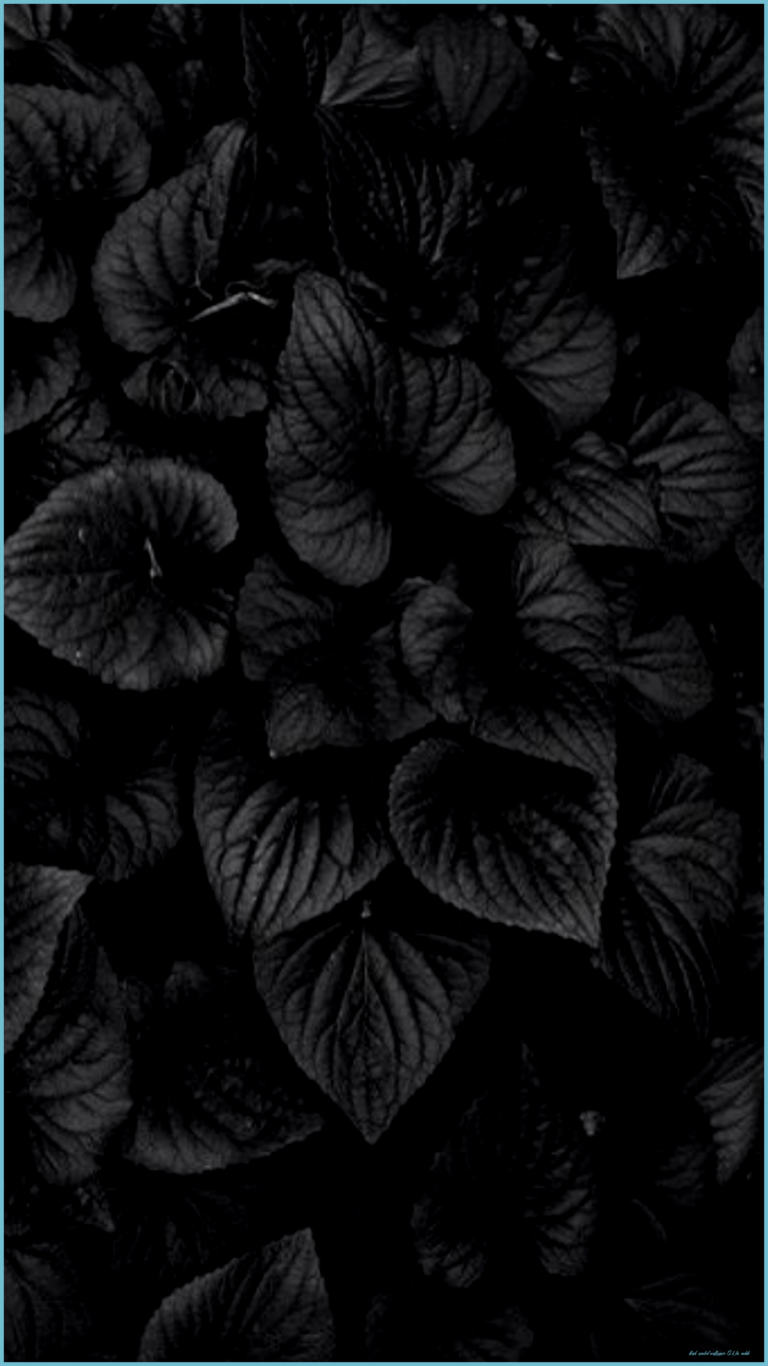 Ten Reasons You Should Fall In Love With Black Amoled Wallpaper 6k For Mobile. Black Amoled Wallpaper 6k For Mobile