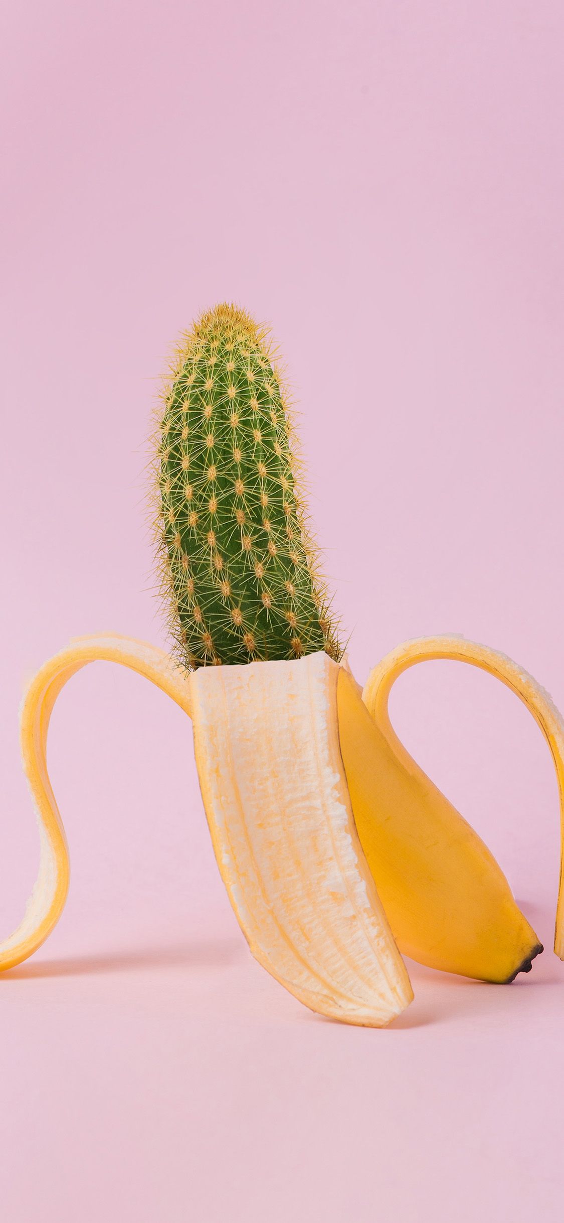 Art Banana Cactus Wallpaper