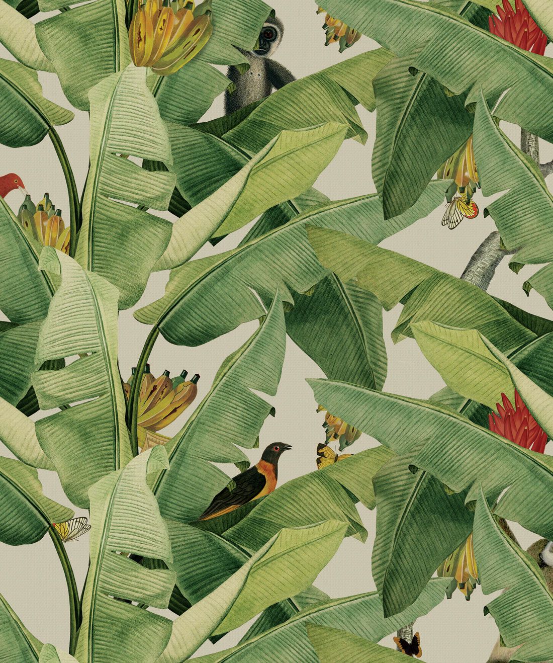 Jungle Fever, Banana Leaf Wallpaper, Tropical Design
