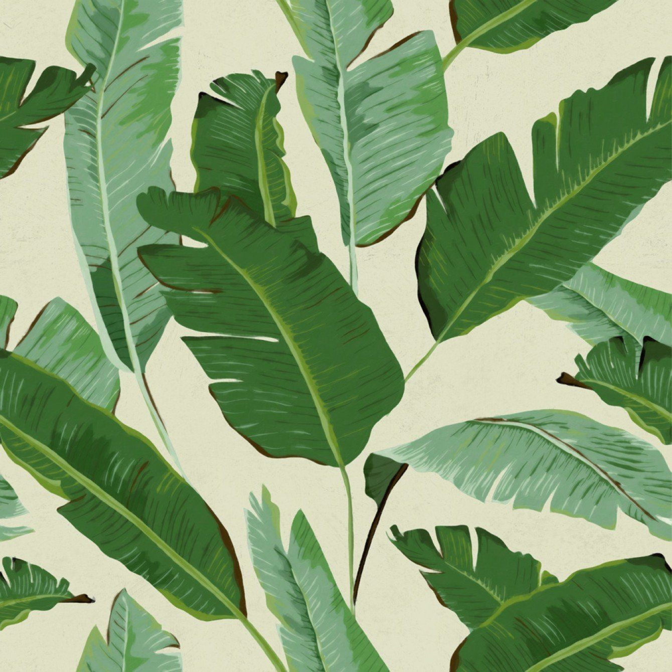 Banana Leaves Wallpaper in Beige and Green from the Tropical Vibes Col