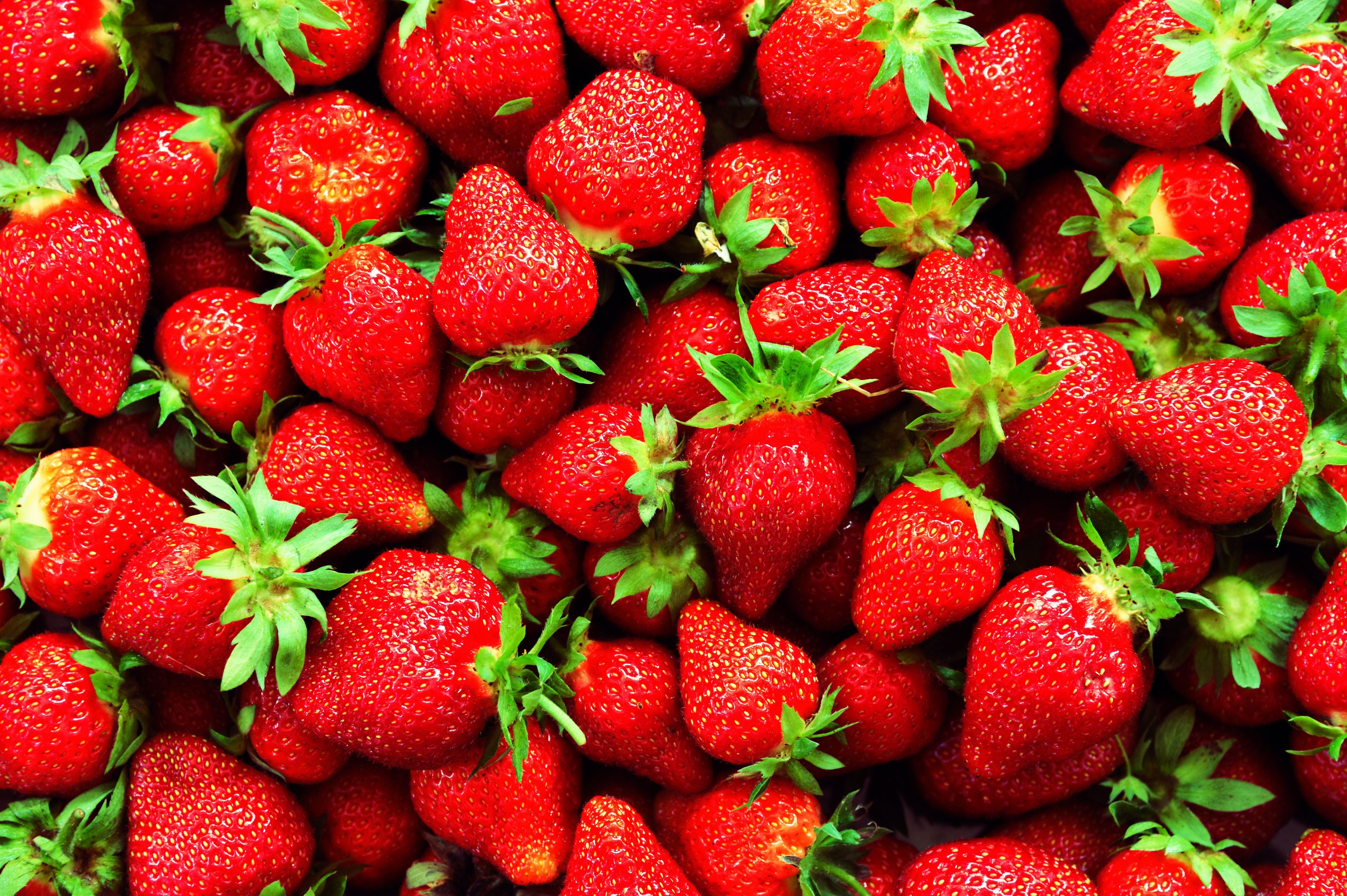 Strawberry 4k Ultra HD Wallpaper. Background Imagex2832