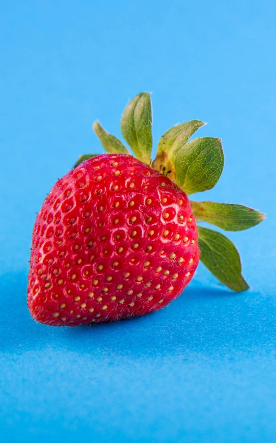 Strawberry Blue Background 4K Ultra HD Mobile Wallpaper