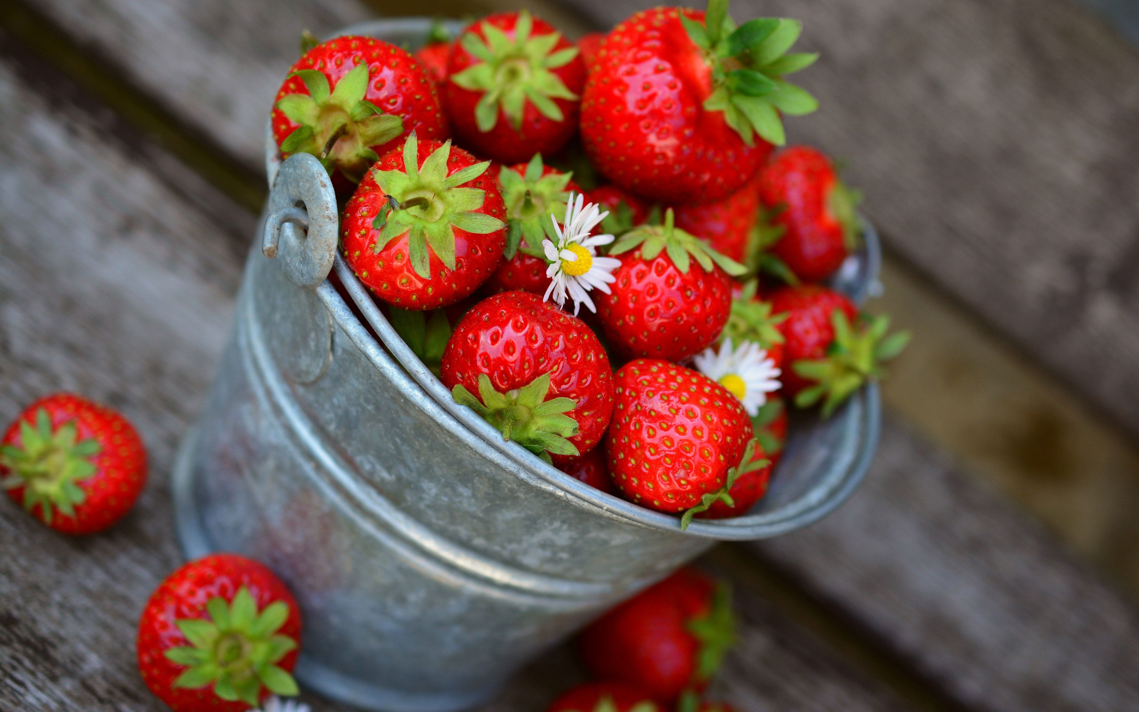 Download wallpaper: Bucket with strawberries 3840x2400