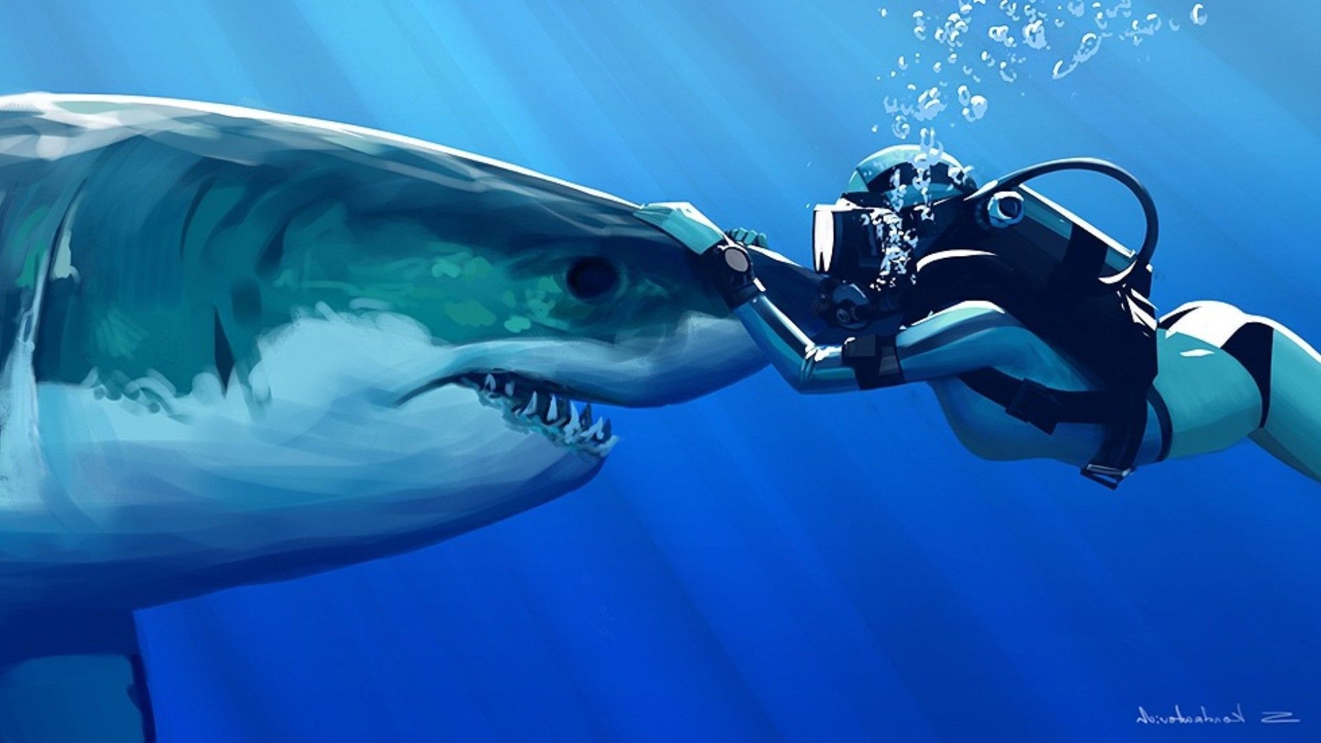 great white shark HD wallpaper, background