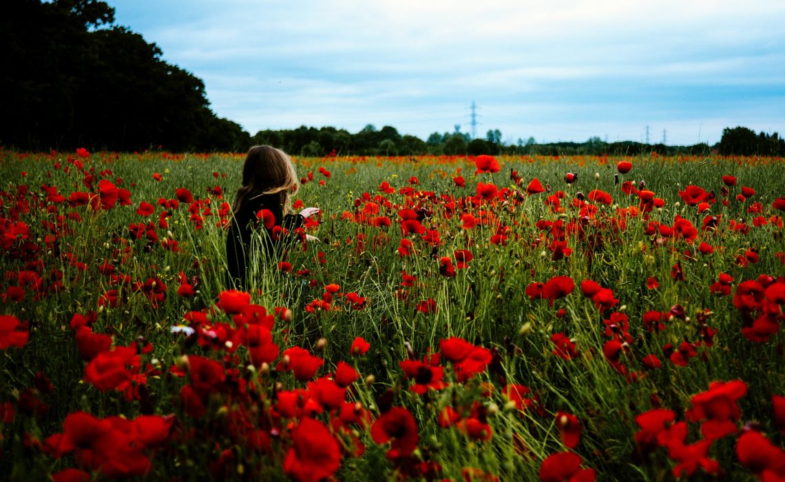 Nature women outdoors field poppies looking away wallpaperx2385