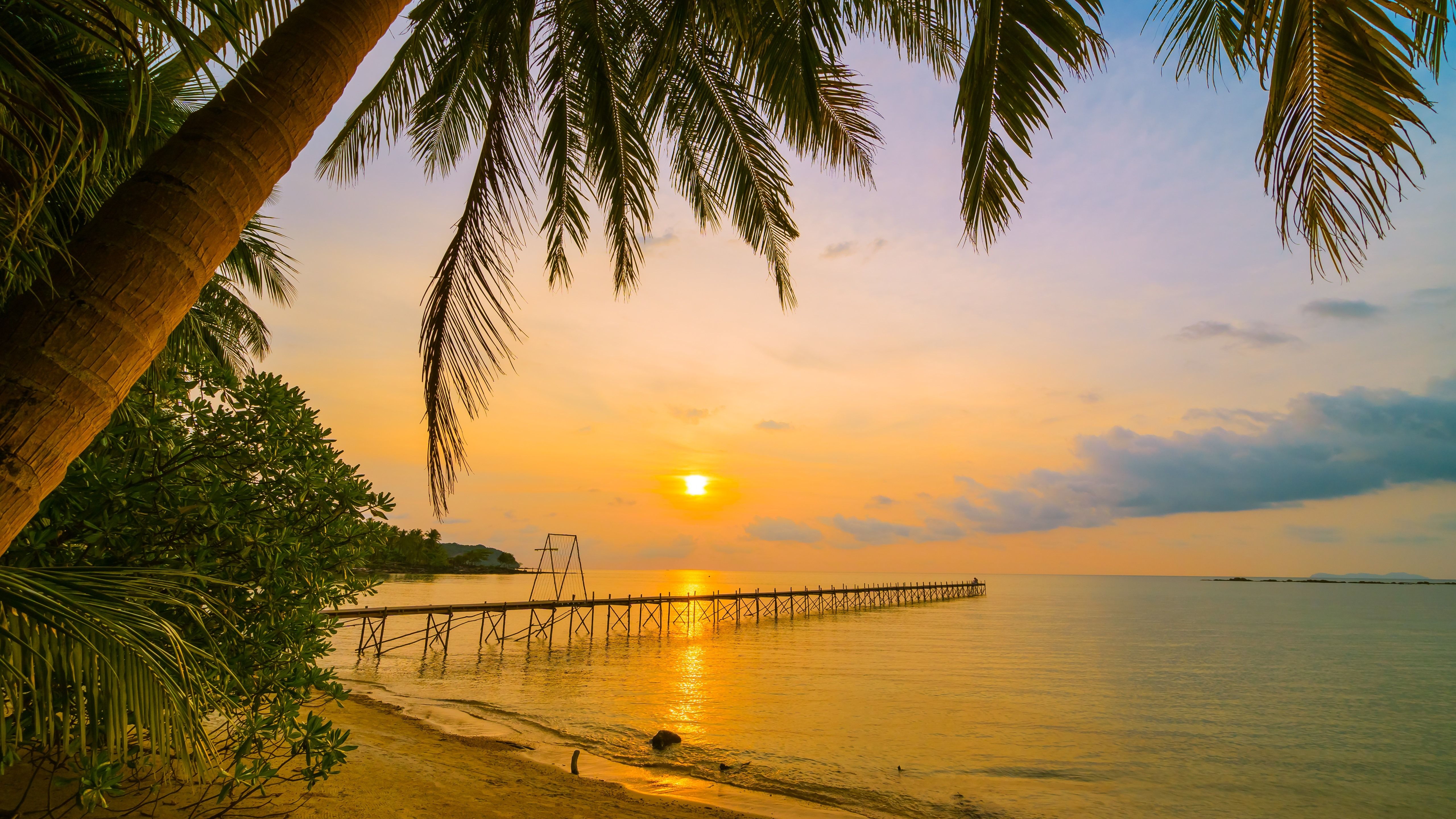 Wallpaper Tropical, summer, beach, sea, palm trees, pier, sunset 5120x2880 UHD 5K Picture, Image