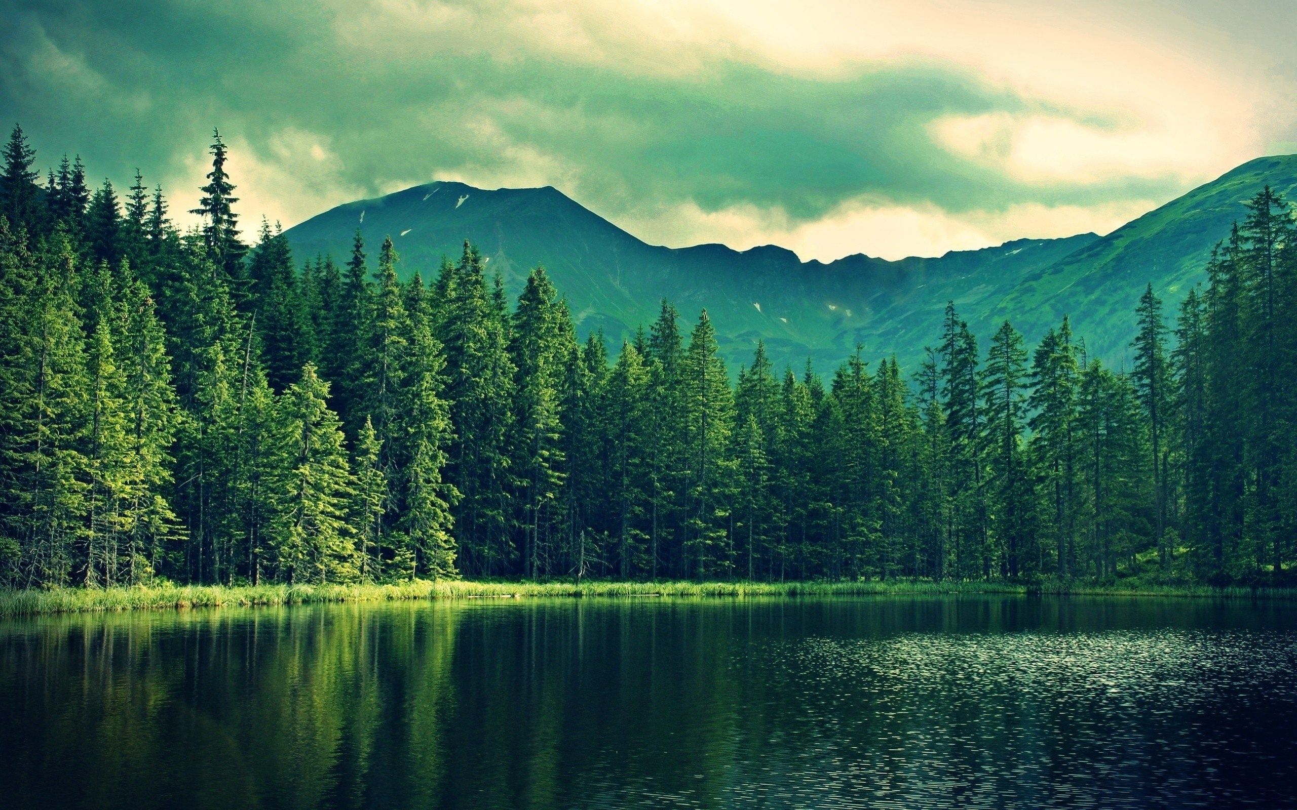 Mountains Summer Lake Wallpaper [2560x1600]. Desktop background nature, Best facebook cover photo, Background picture