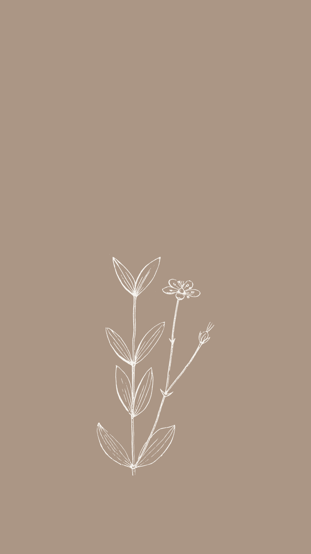 Free Aesthetic Phone Wallpapers for Spring