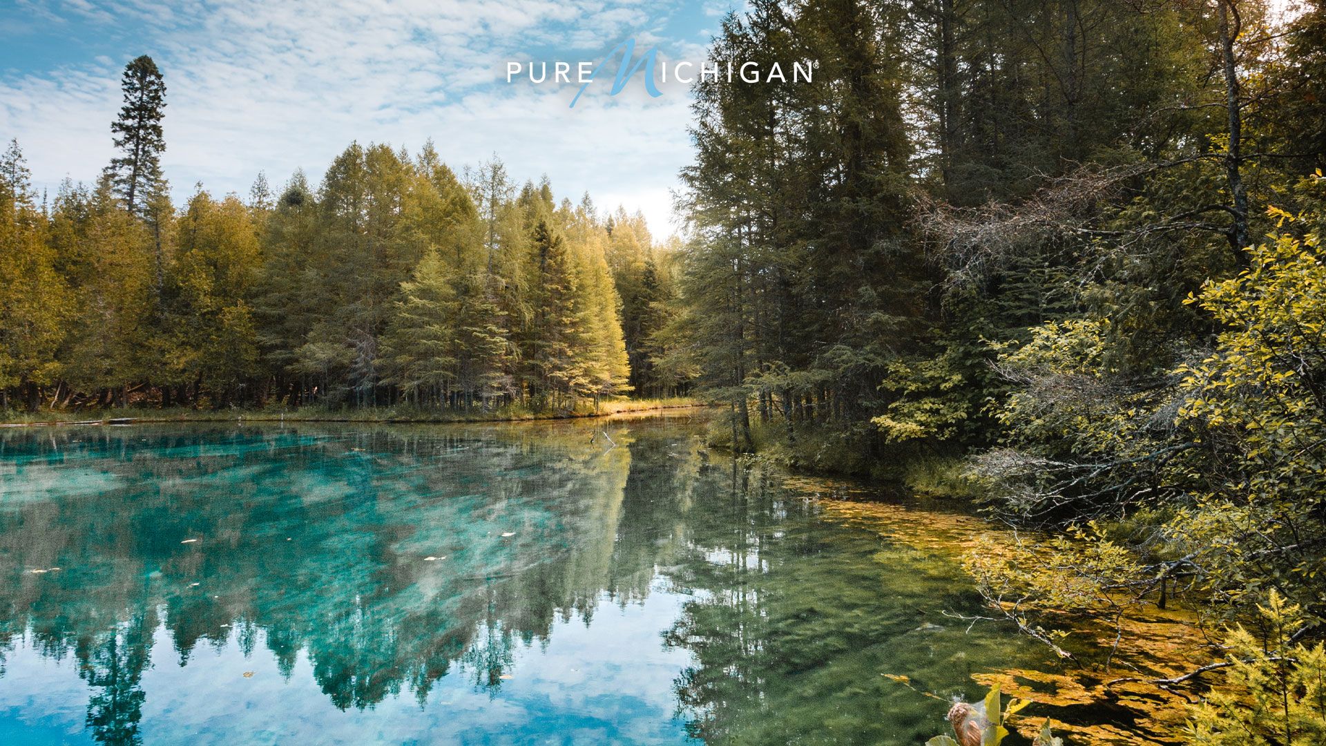 Try These Pure Michigan Background For Your Video Calls