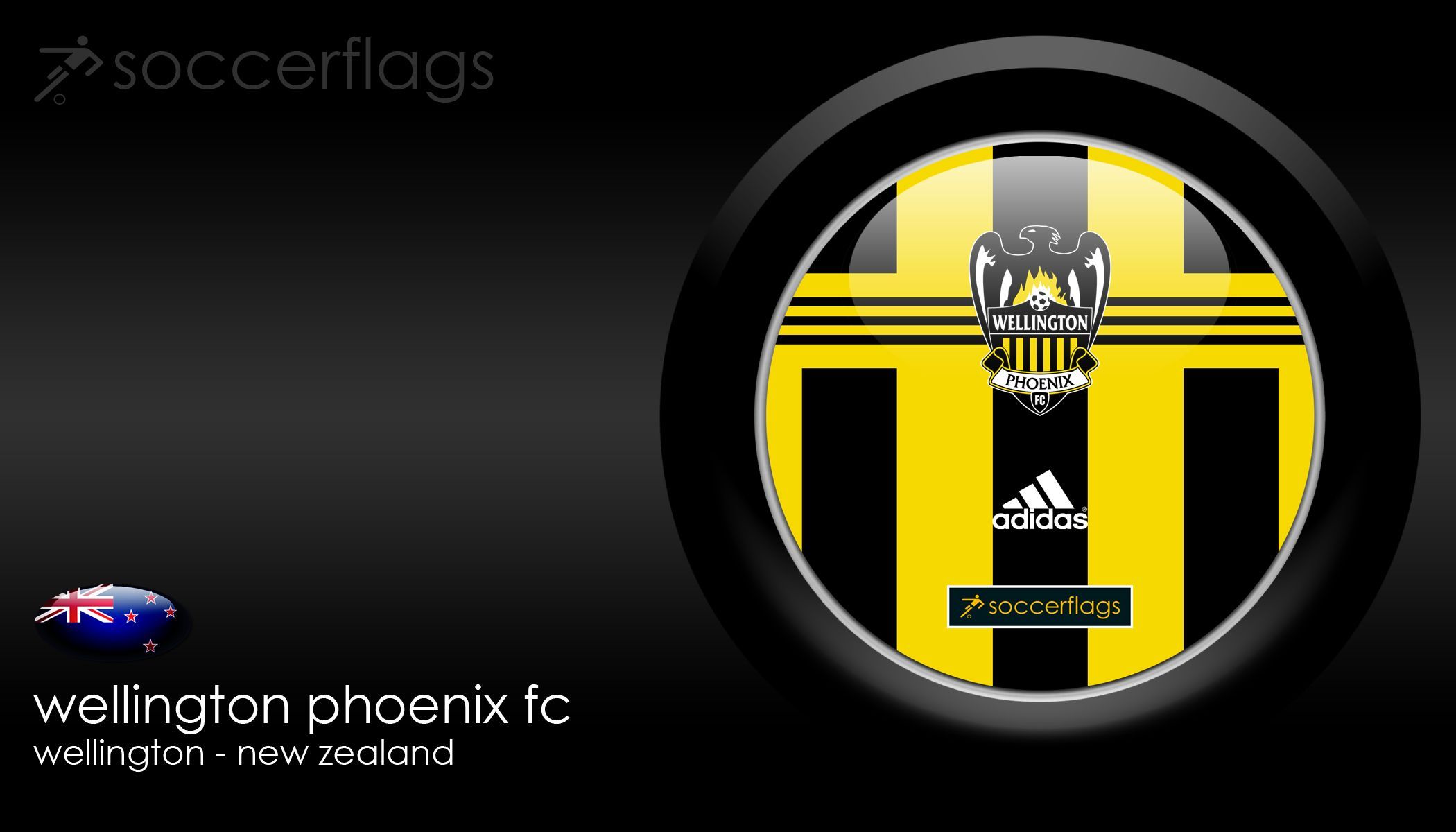 I LOVE THE PHOENIX!!!!! ideas. football, phoenix, wellington
