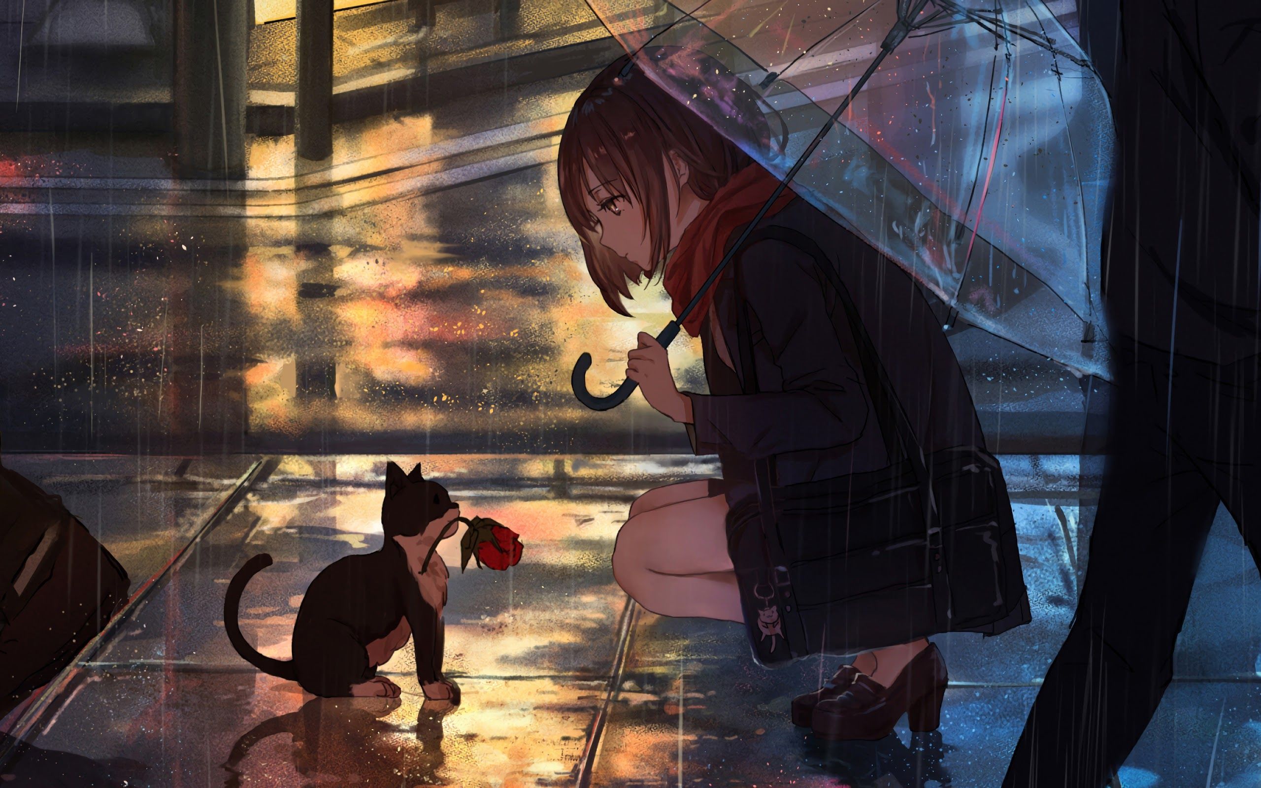 Anime Girl Raining Cat 4K Wallpaper