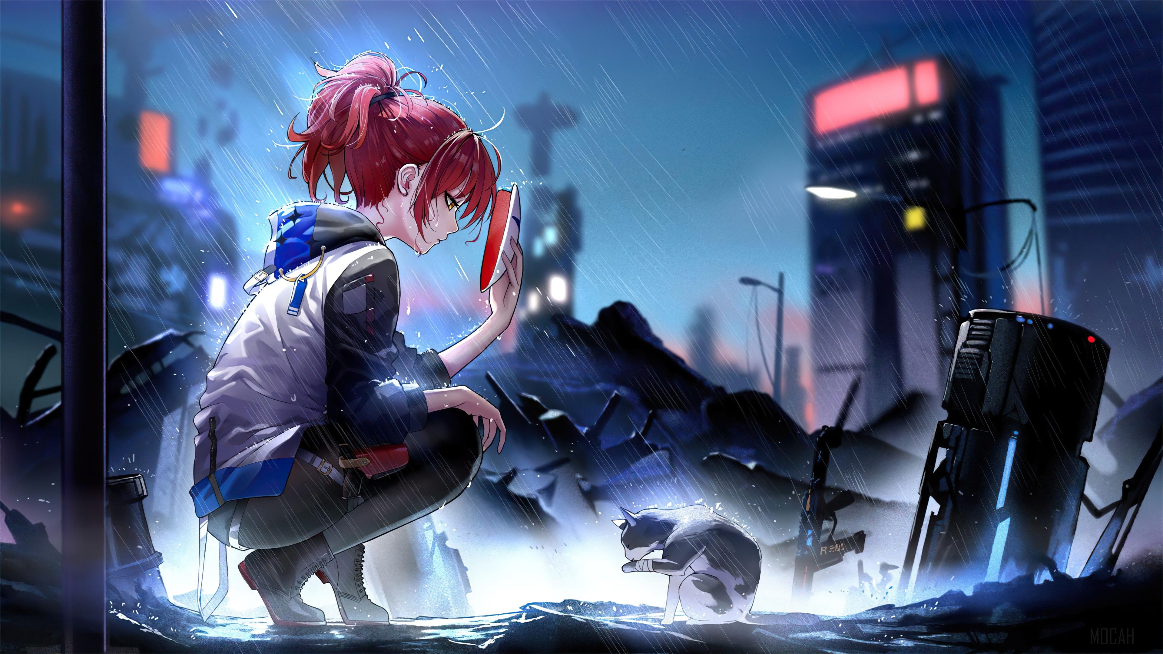 Anime, Girls, Cat, Raining 4k wallpaper. Mocah HD Wallpaper