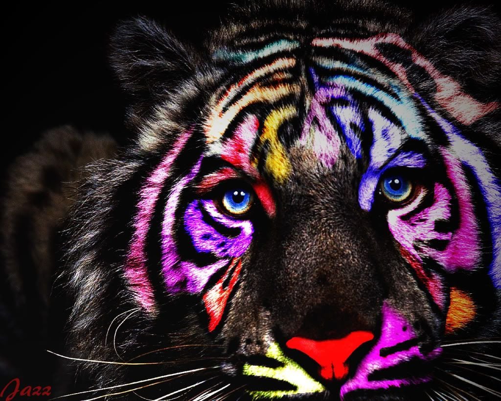 Rainbow Tiger Wallpaper