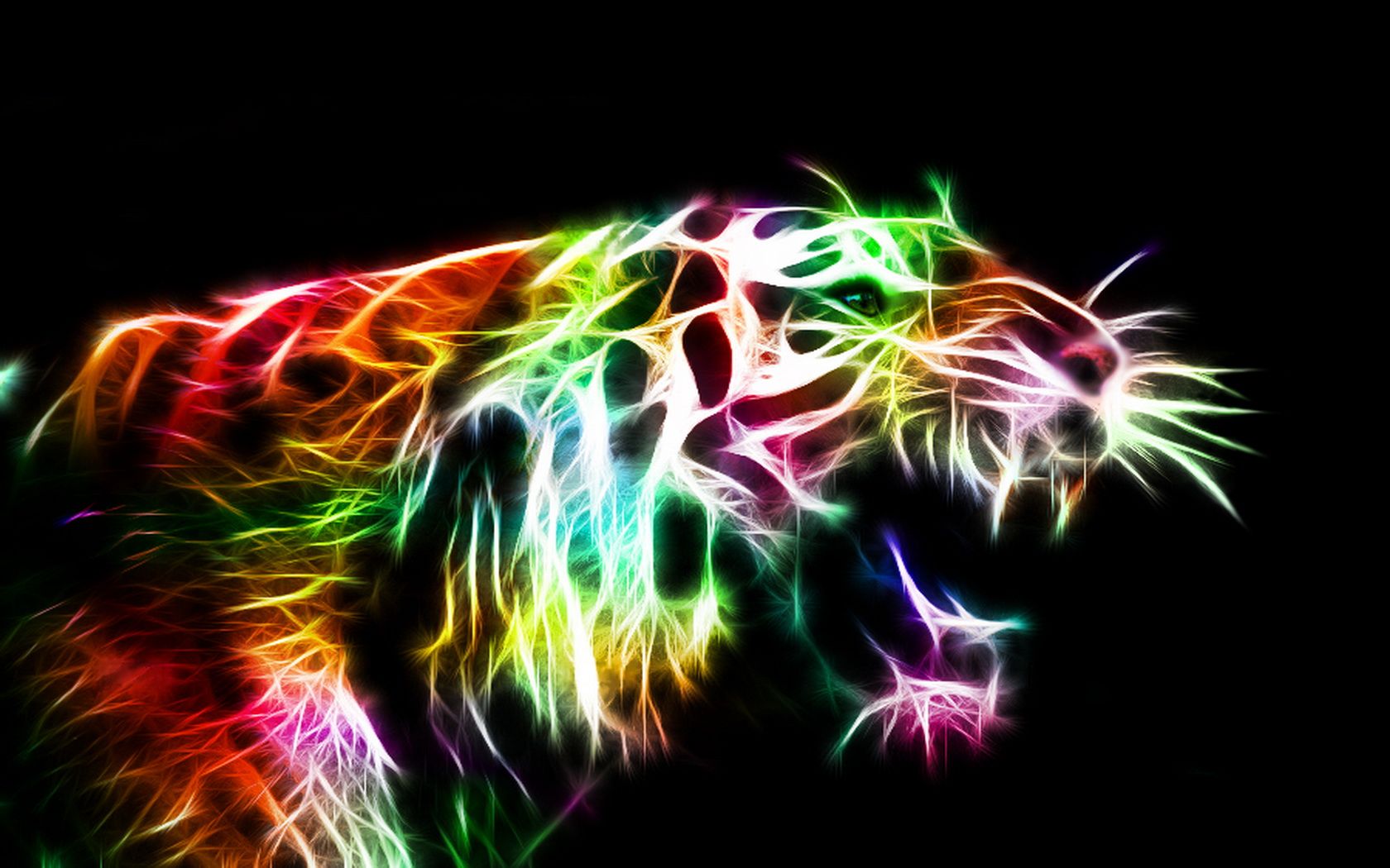 Tiger Wallpaper and Background Imagex1050