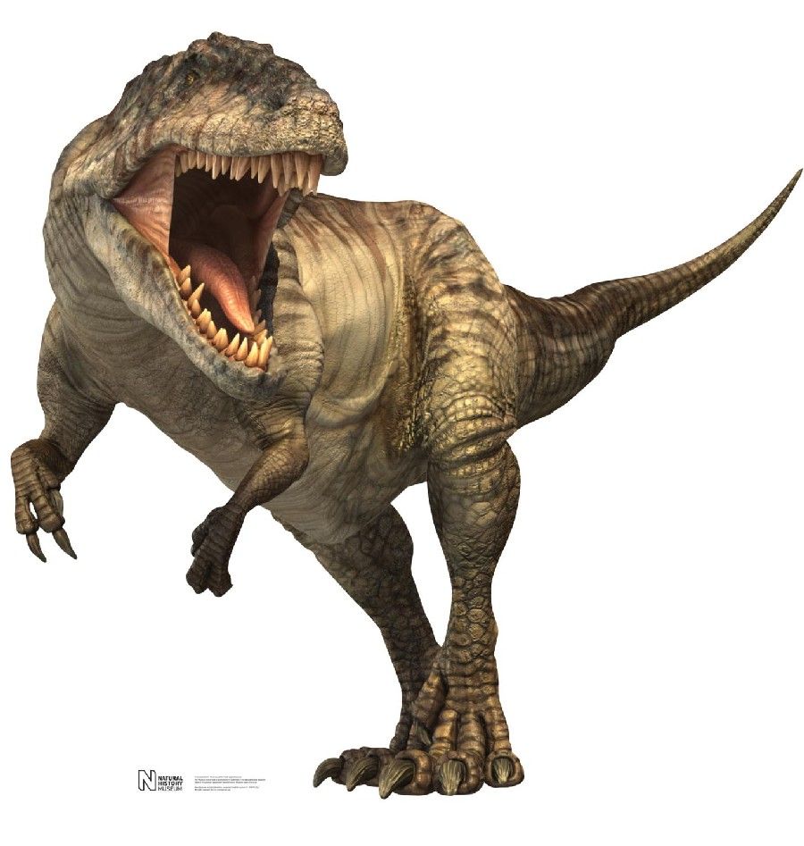 Giganotosaurus Picture & Facts Dinosaur Database