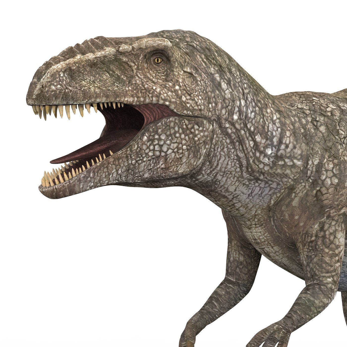 Giganotosaurus Dinosaur 3D Model
