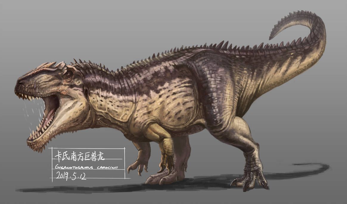 Gambar Dinosaurus Giganotosaurus