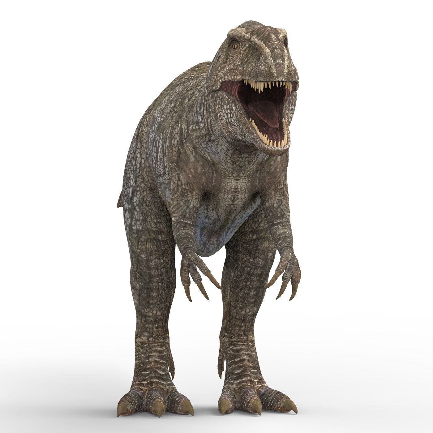 Giganotosaurus Dinosaur 3D Model