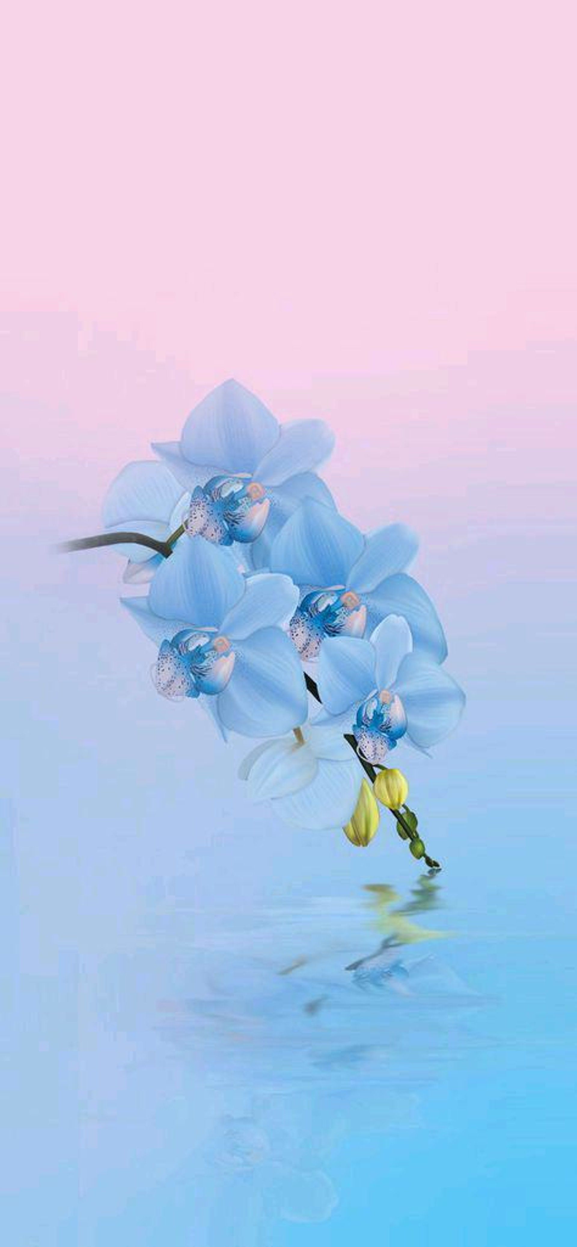 Aesthetic Mobile Wallpaper Free HD Wallpaper