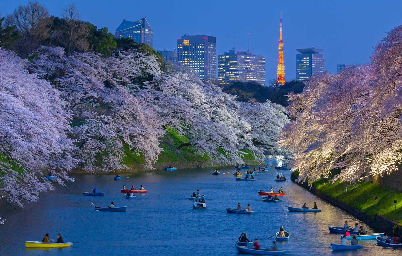 Wallpaper spring, boats, Japan, Sakura, Tokyo, channel image for desktop, section город