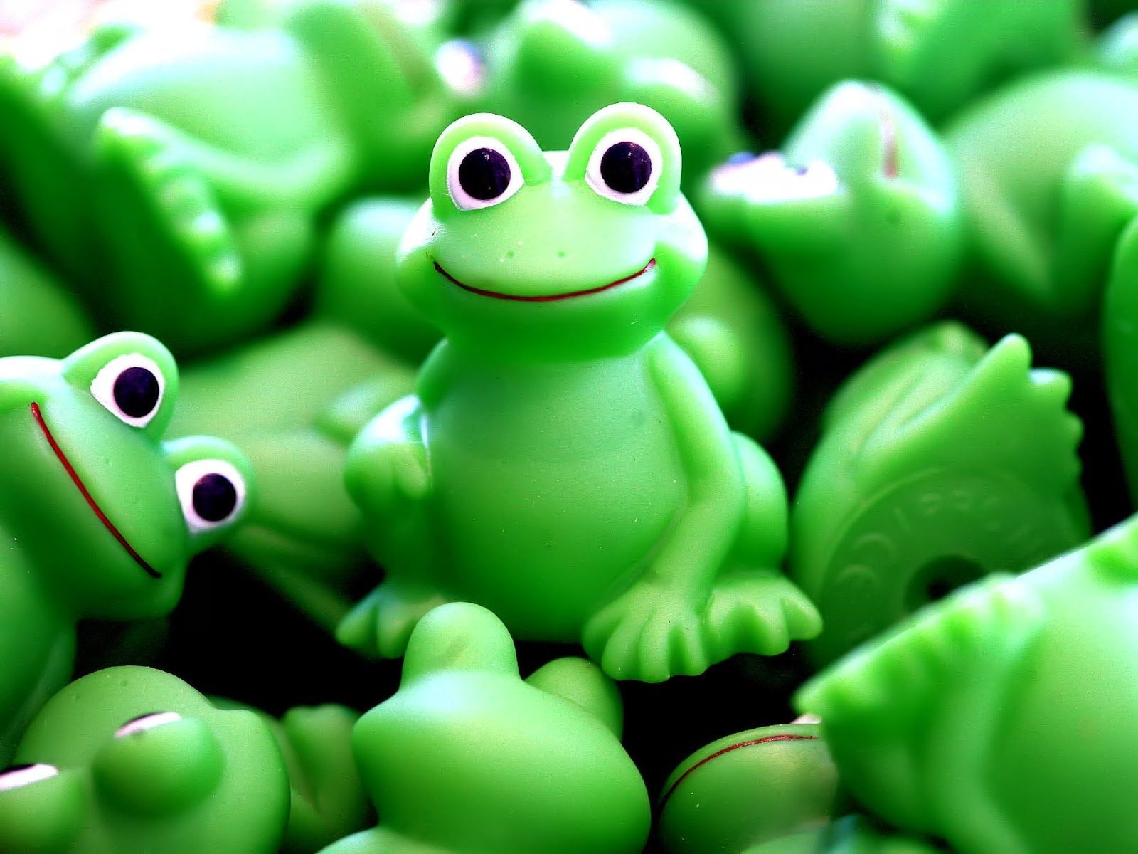 all about insurance: Frog green desktop background wallpaper