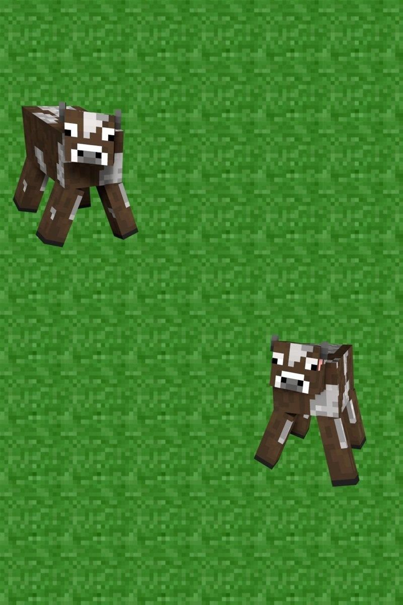 Here's and iPhone wallpaper I made.cows