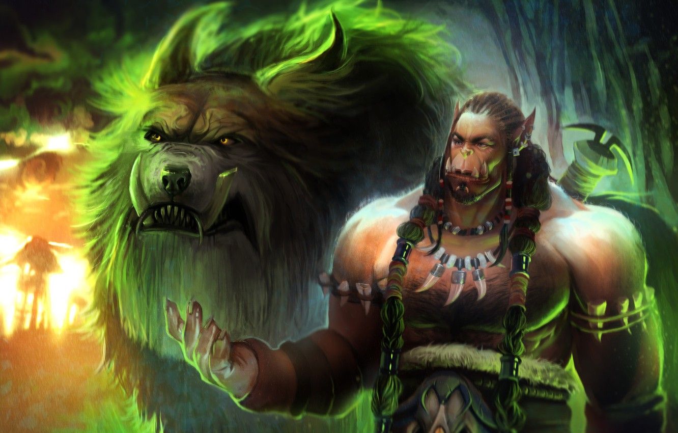Wallpaper the game, art, WOW, fragment, Durotan, Durotan from Warcraft, dzikawa image for desktop, section игры