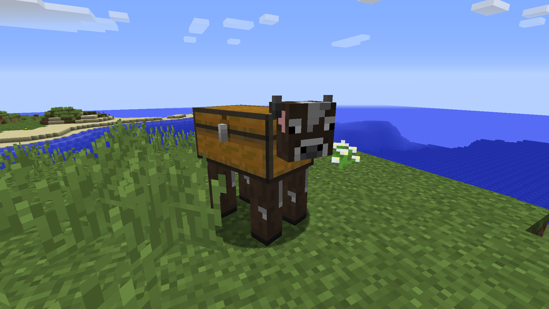Chest Cow