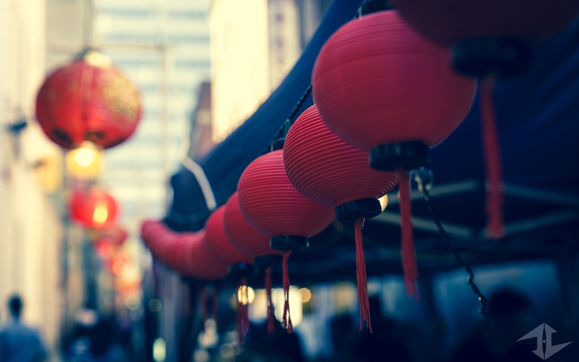 Chinese Lantern Wallpaper