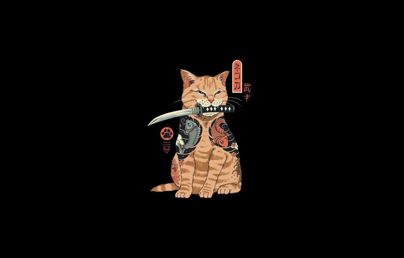 Cat Samurai Wallpaper Free Cat Samurai Background