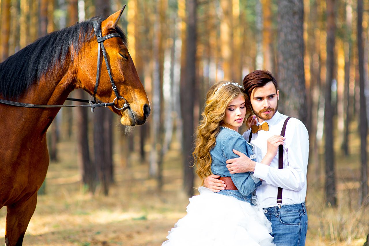 Desktop Wallpaper young woman Horses grooms Bride marriage Blonde