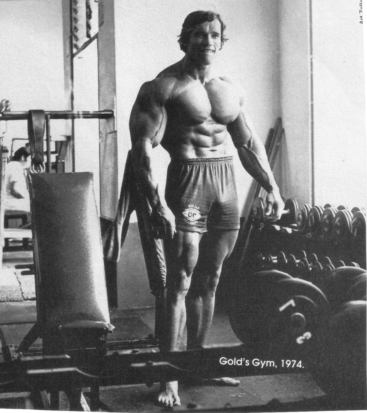 Arnold Schwarzenegger, grayscale, gym, Austrian wallpaper