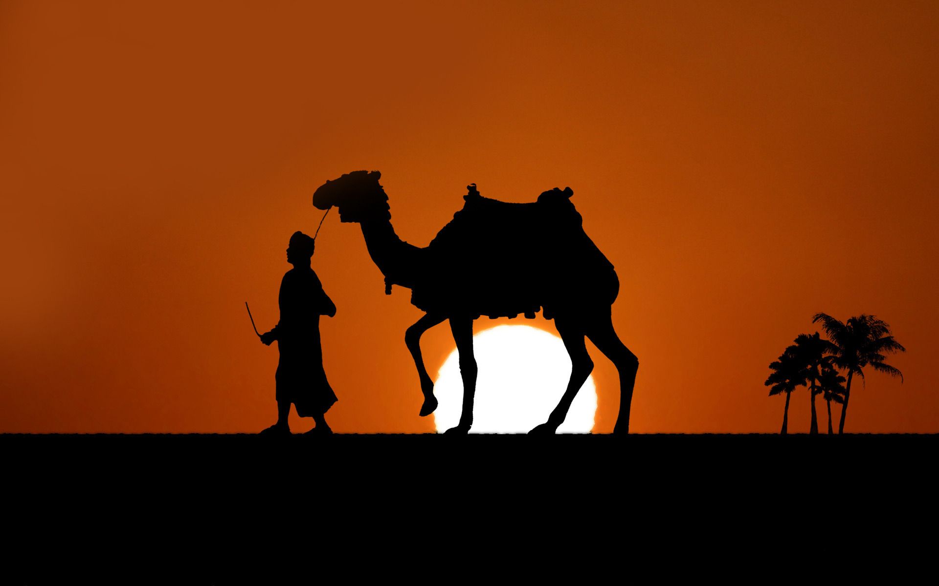 Desert Camel HD Wallpaper Free Desert Camel HD Background