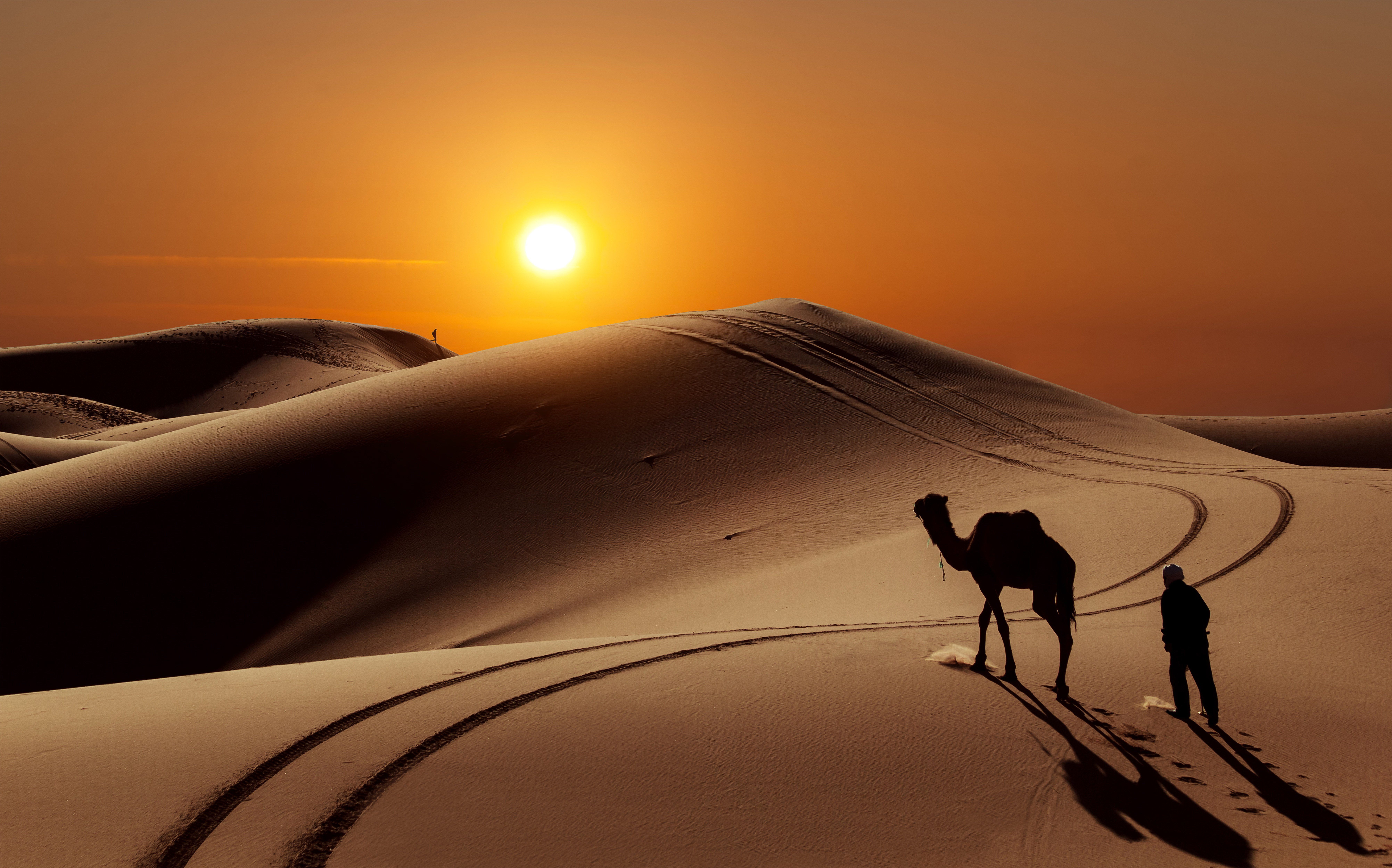 8014x5000 beautiful, beauty, camel, desert, magic, people, sun